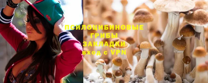 shop клад  Клинцы  мега ССЫЛКА  Псилоцибиновые грибы MAGIC MUSHROOMS  где продают наркотики 